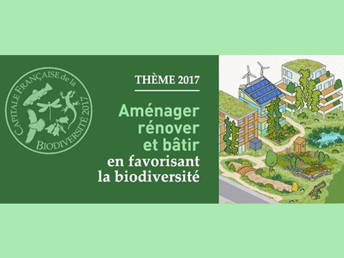 Retours d'expérience Séquence Eviter - Réduire - Compenser (2017)